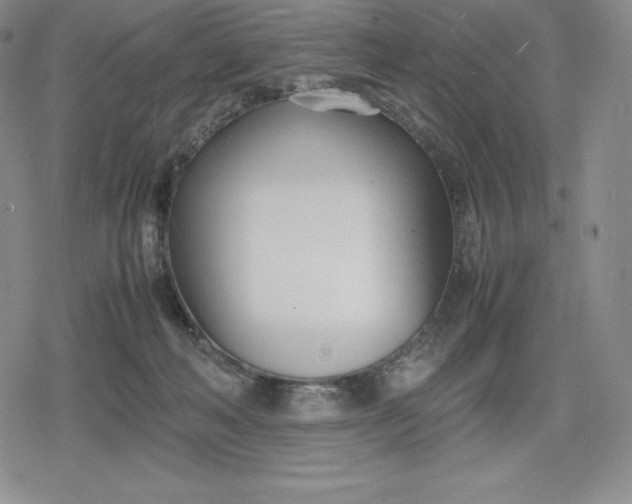 X0000080170222200612221259