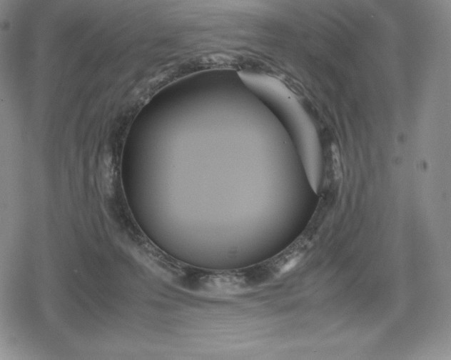 X0000080170223200612221259