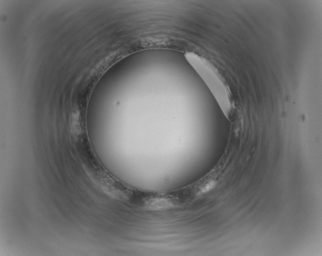 X0000080170224200612221259