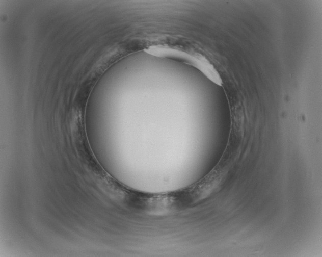 X0000080170225200612221259