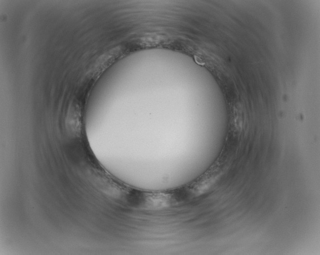 X0000080170226200612221259