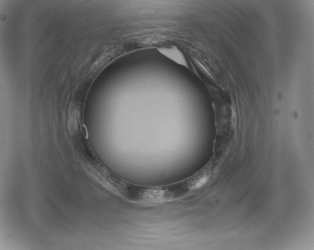 X0000080170227200612221259