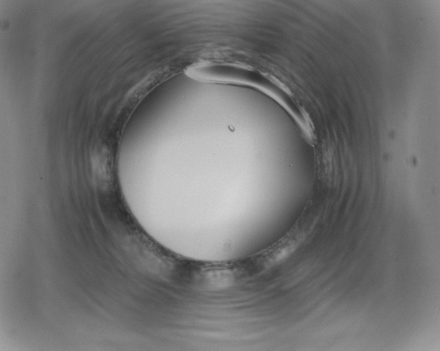 X0000080170228200612221259