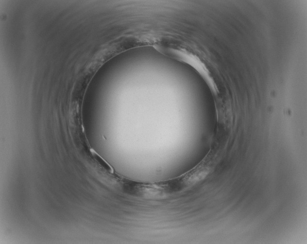 X0000080170229200612221259