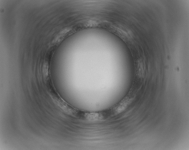 X0000080170230200612221259