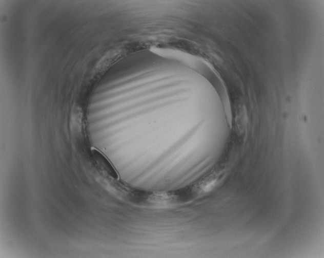 X0000080170231200612221259