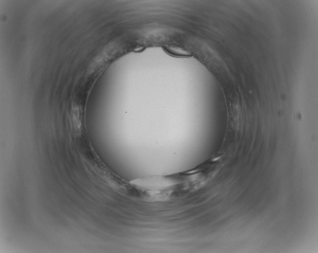 X0000080170232200612221258