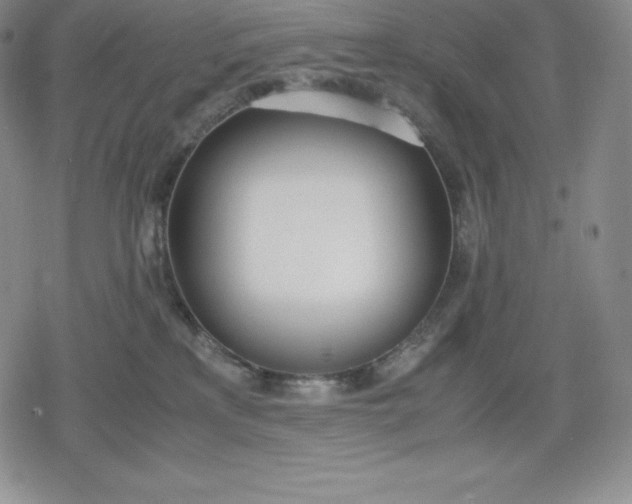 X0000080170233200612221258