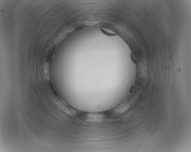 X0000080170234200612221258