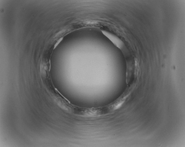 X0000080170235200612221258