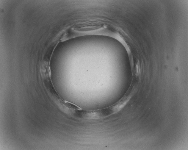 X0000080170237200612221258