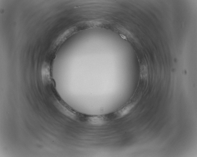 X0000080170238200612221258