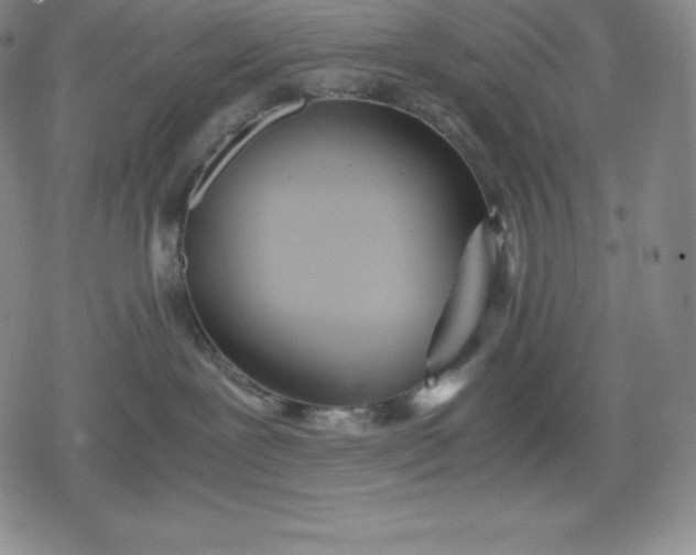 X0000080170239200612221258