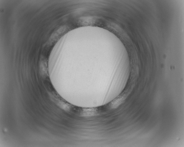 X0000080170240200612221258