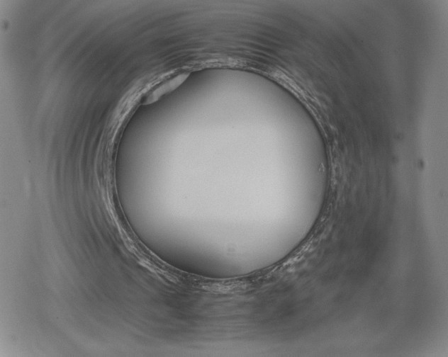 X0000080170241200612221258