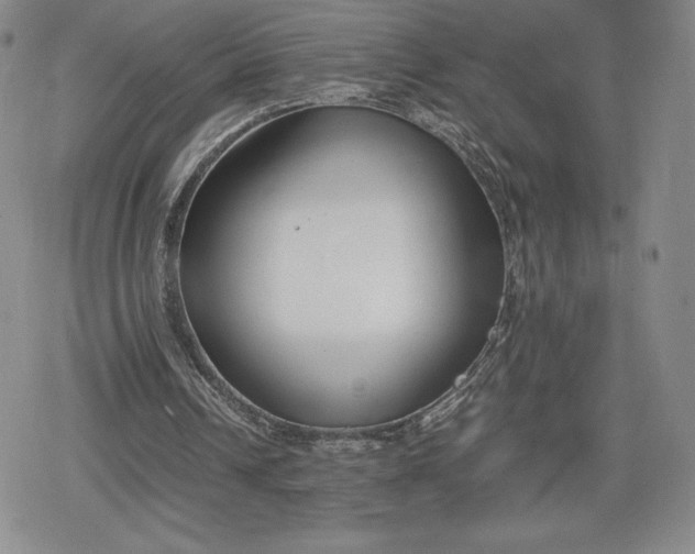 X0000080170242200612221258