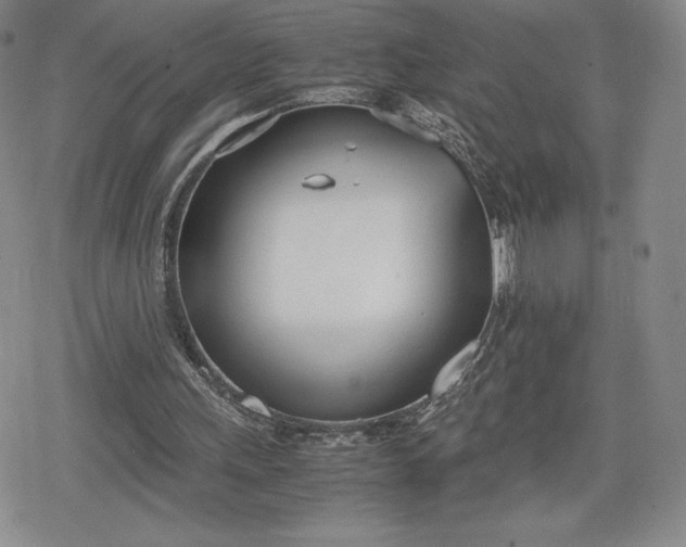 X0000080170243200612221258