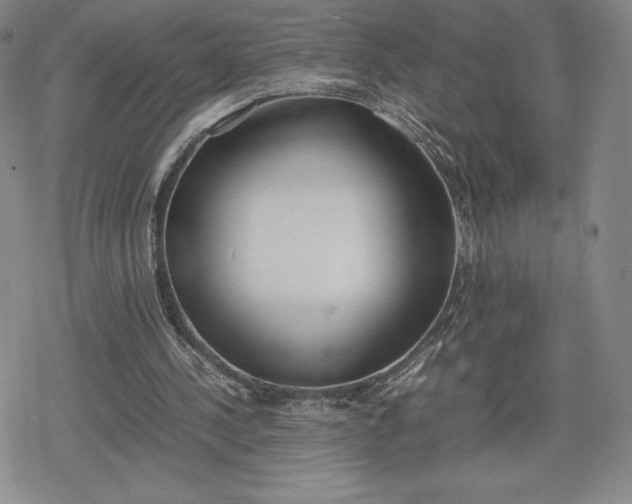 X0000080170244200612221258