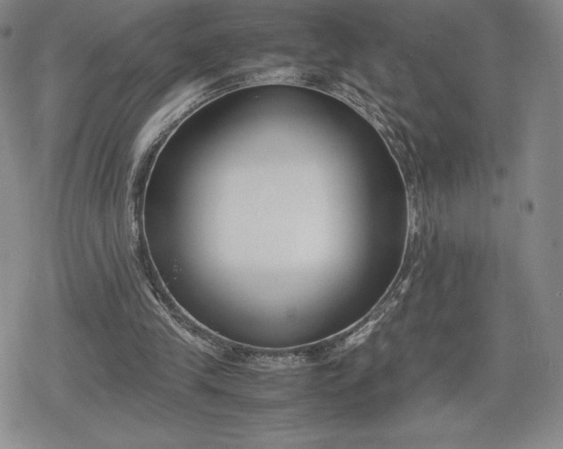 X0000080170245200612221258