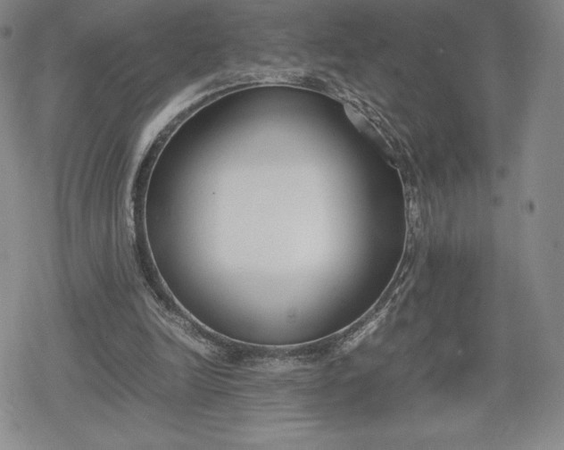 X0000080170246200612221258