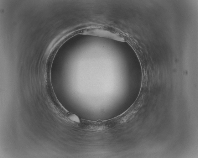 X0000080170247200612221258