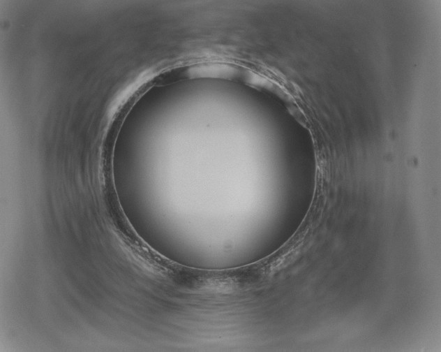 X0000080170248200612221258