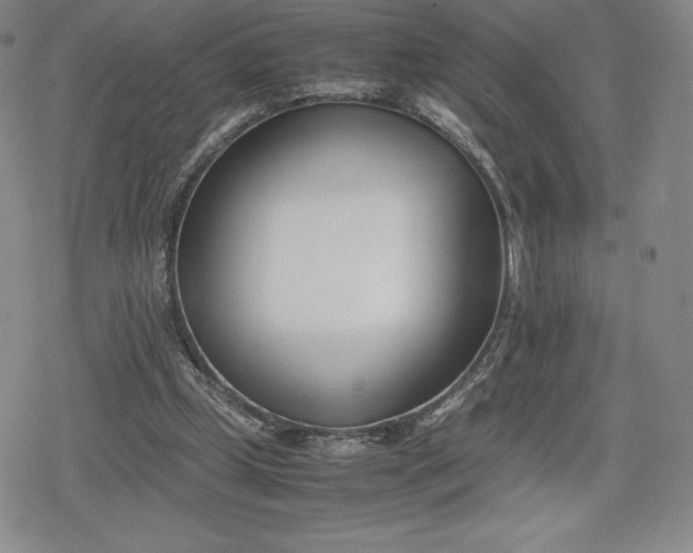 X0000080170249200612221258