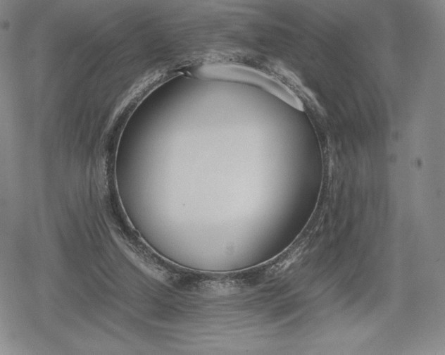 X0000080170250200612221258