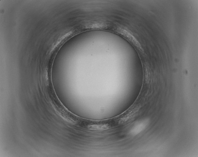 X0000080170251200612221258