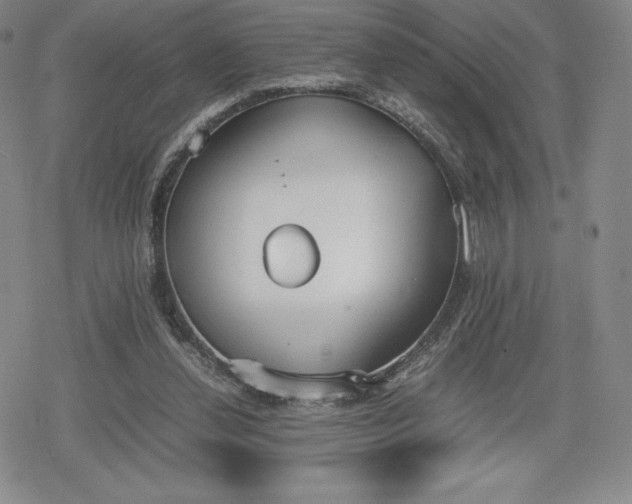 X0000080170252200612221258