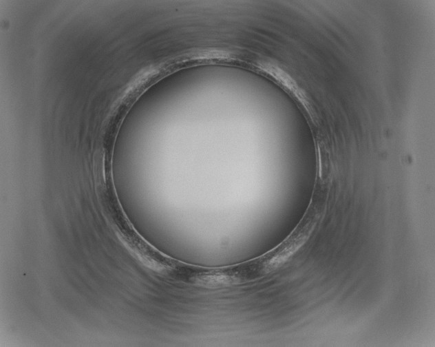 X0000080170253200612221258