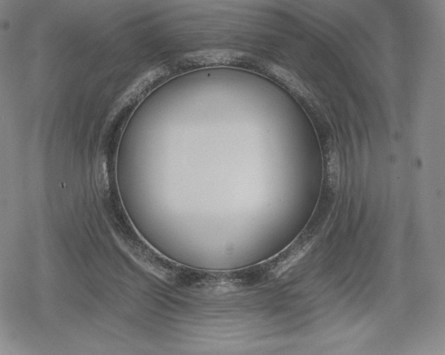 X0000080170254200612221258