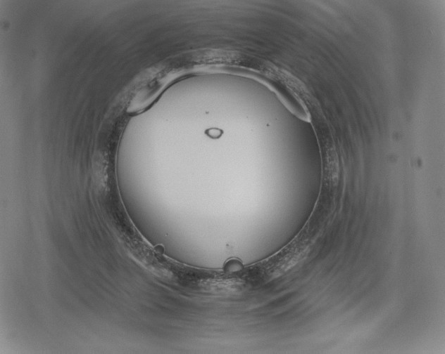 X0000080170255200612221258