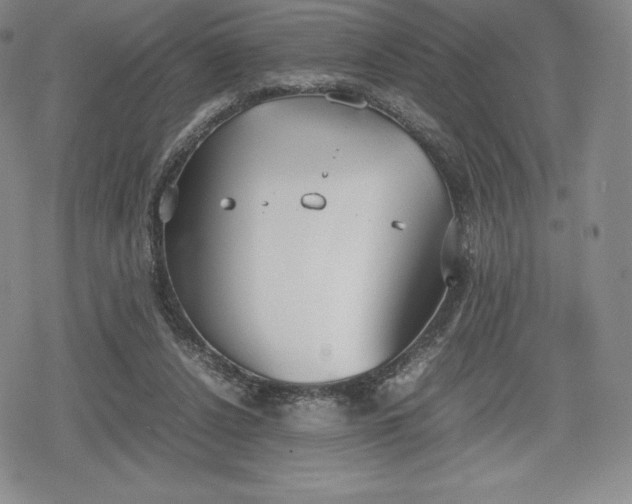 X0000080170256200612221258