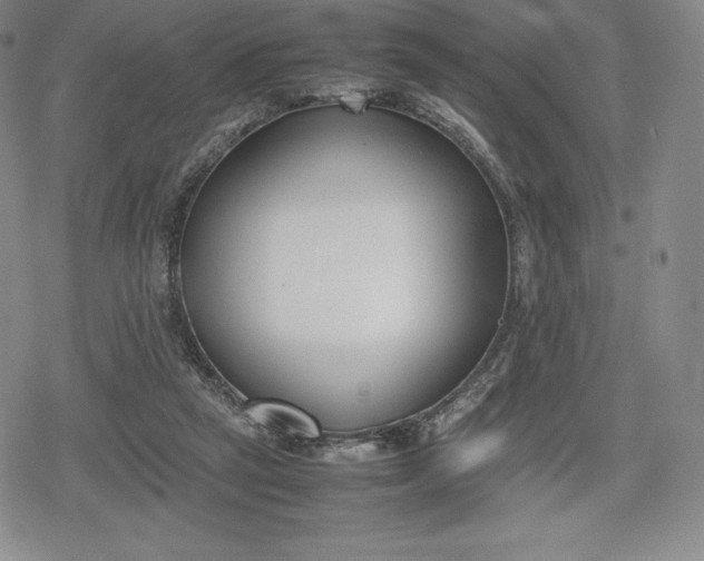 X0000080170257200612221258