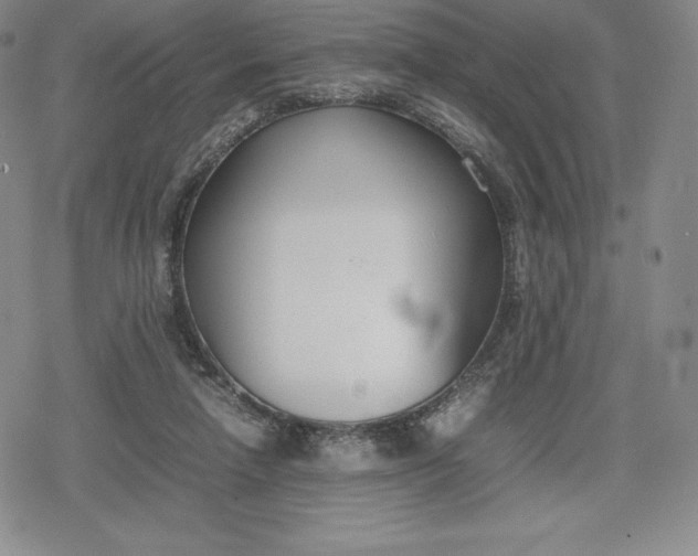 X0000080170258200612221258