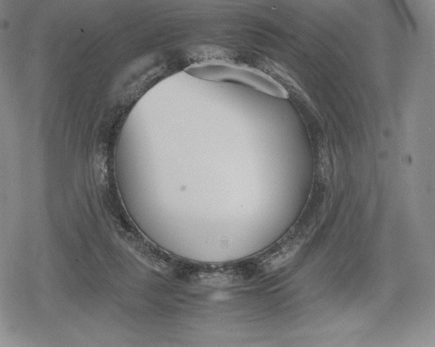 X0000080170259200612221258