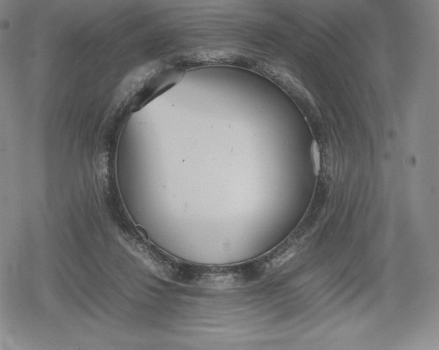 X0000080170260200612221258