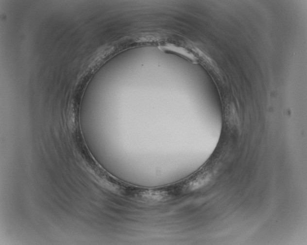 X0000080170261200612221258