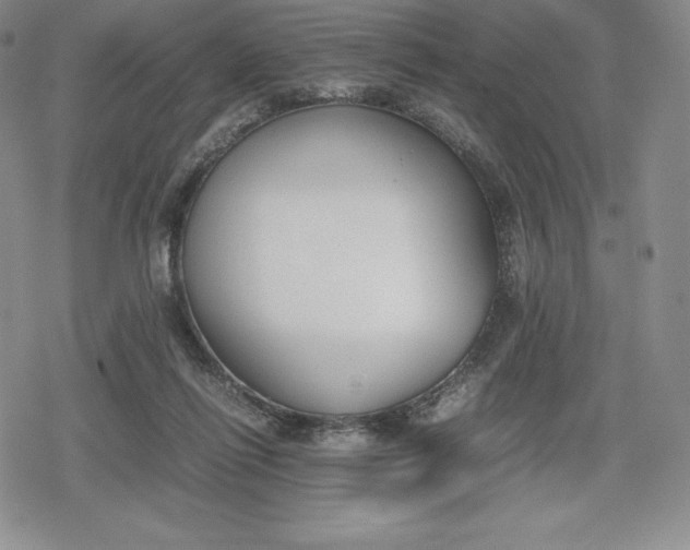 X0000080170262200612221258