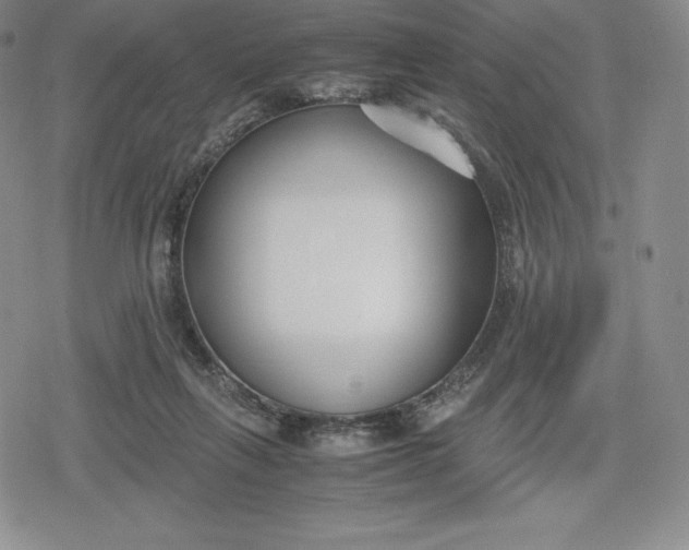 X0000080170263200612221258