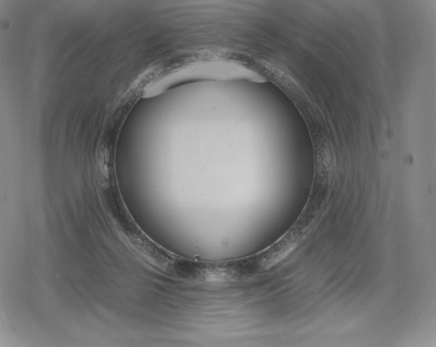 X0000080170264200612221258