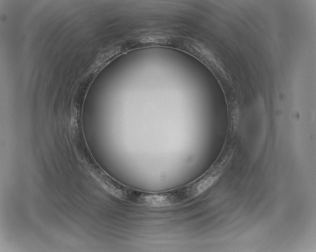 X0000080170265200612221258