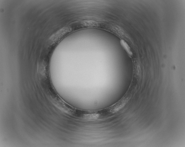 X0000080170266200612221258