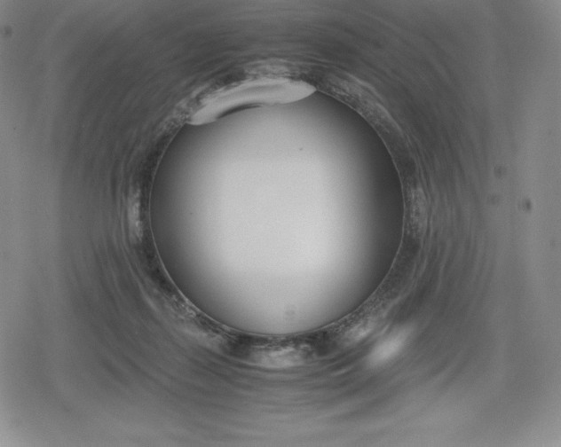 X0000080170267200612221258