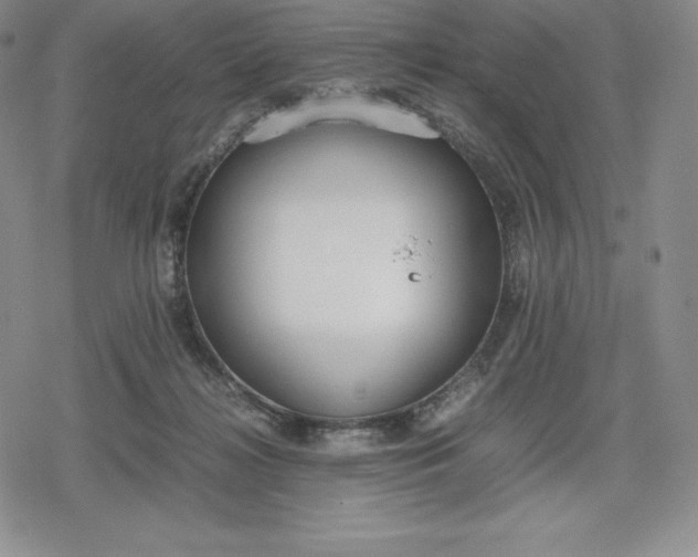 X0000080170268200612221258