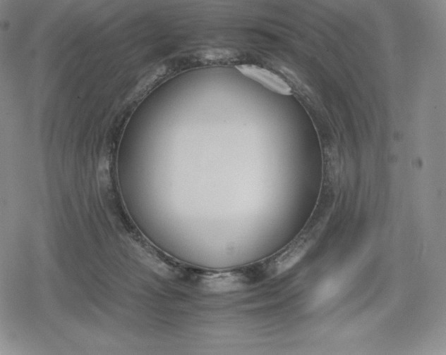 X0000080170269200612221258