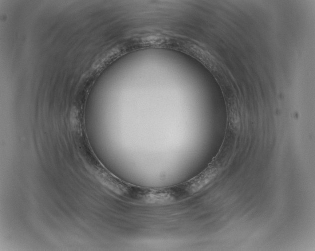 X0000080170270200612221258