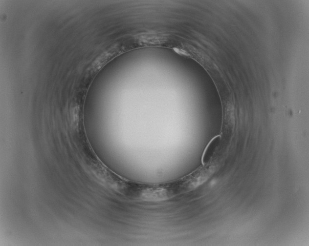 X0000080170271200612221258