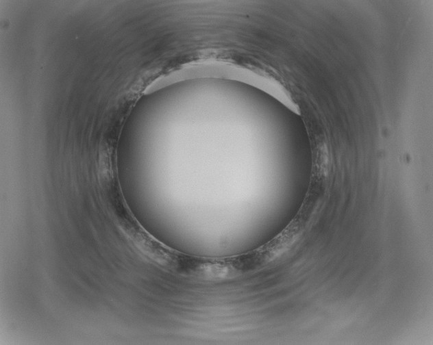 X0000080170272200612221258